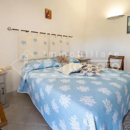 A12 - Villino Semi-indipendente Su Tre Lati * Palau