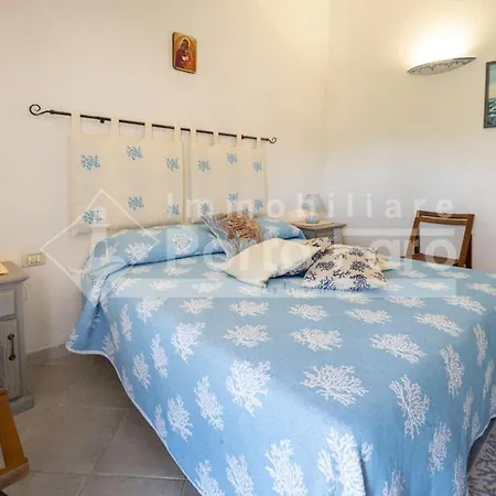 A12 - Villino Semi-indipendente Su Tre Lati * פאלאו